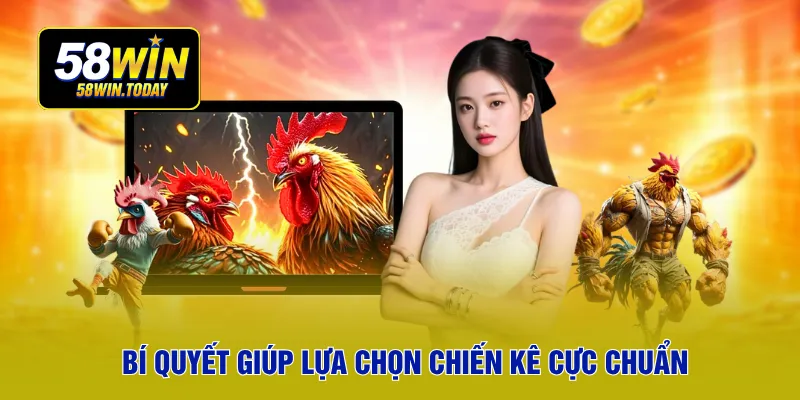 Bí quyết giúp lựa chọn chiến kê cực chuẩn