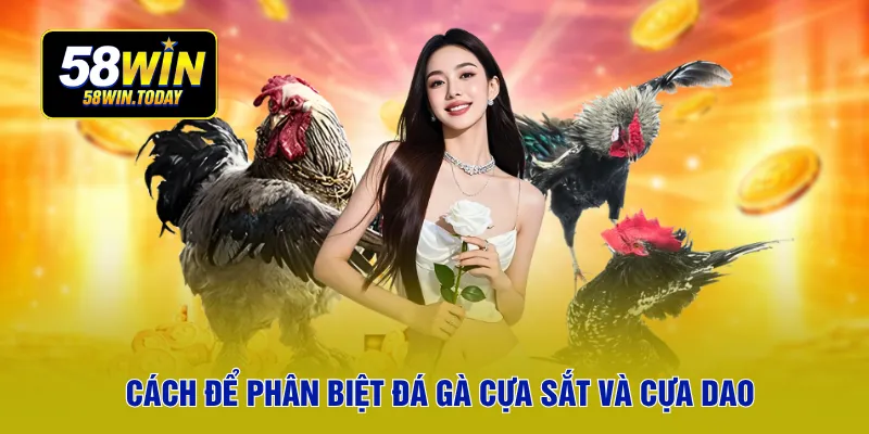Cách để phân biệt đá gà cựa sắt và cựa dao