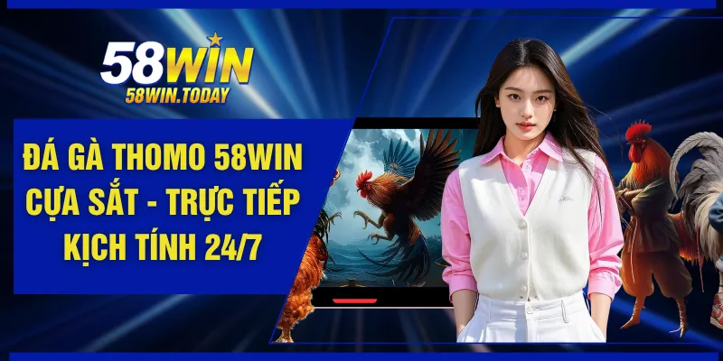 Đá Gà Thomo 58WIN Cựa Sắt - Trực Tiếp Kịch Tính 24/7