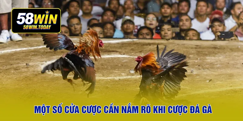 Một số cửa cược cần nắm rõ khi cược đá gà