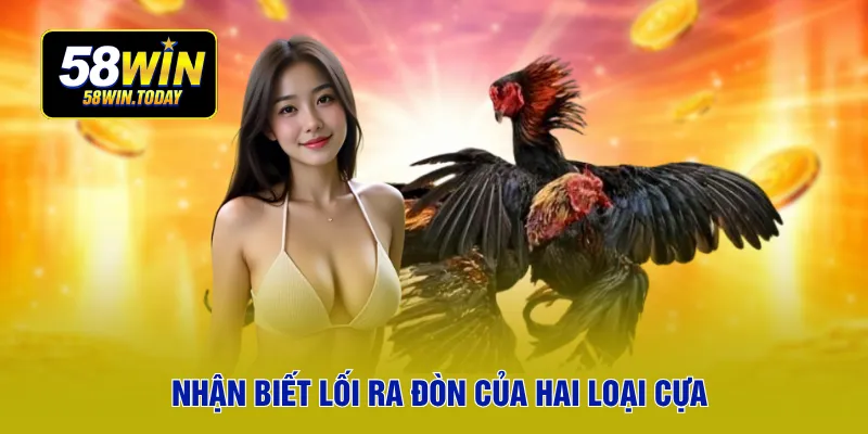 Nhận biết lối ra đòn của hai loại cựa