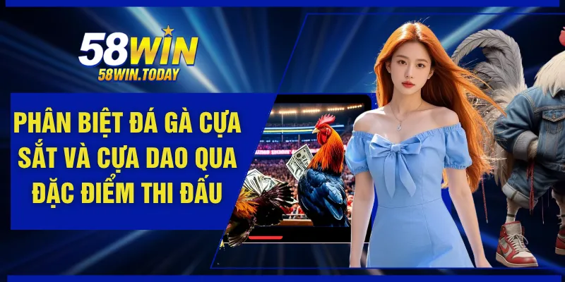 Phân Biệt Đá Gà Cựa Sắt Và Cựa Dao Qua Đặc Điểm Thi Đấu