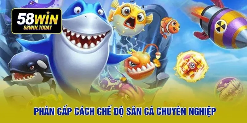 Phân cấp cách chế độ săn cá chuyên nghiệp