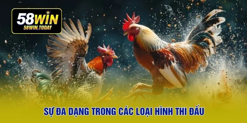 Sự đa dạng trong các loại hình thi đấu
