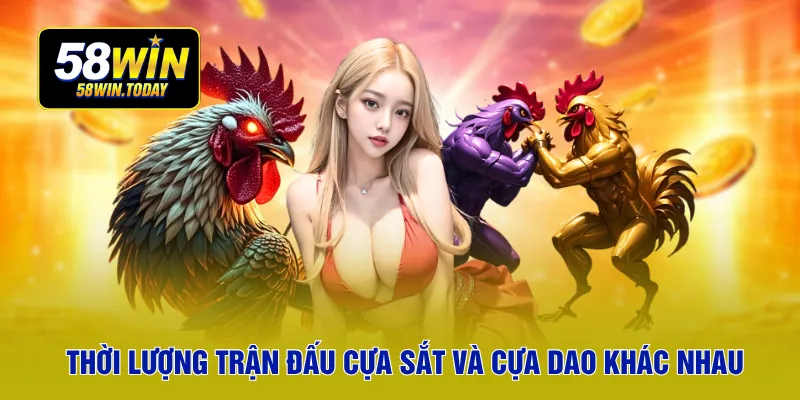 Thời lượng trận đấu cựa sắt và cựa dao khác nhau