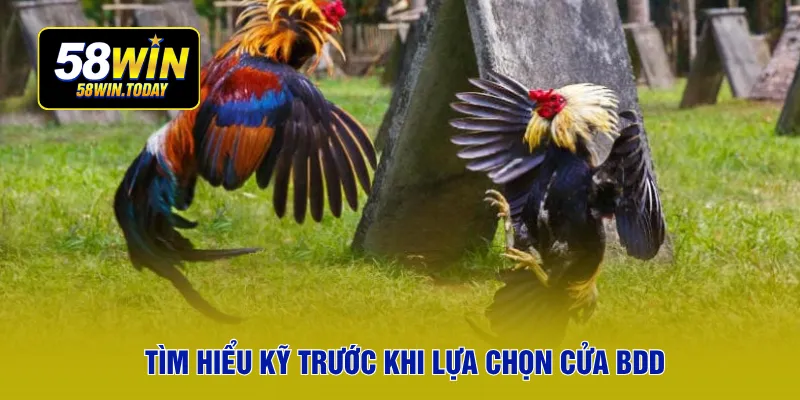 Tìm hiểu kỹ trước khi lựa chọn cửa BDD