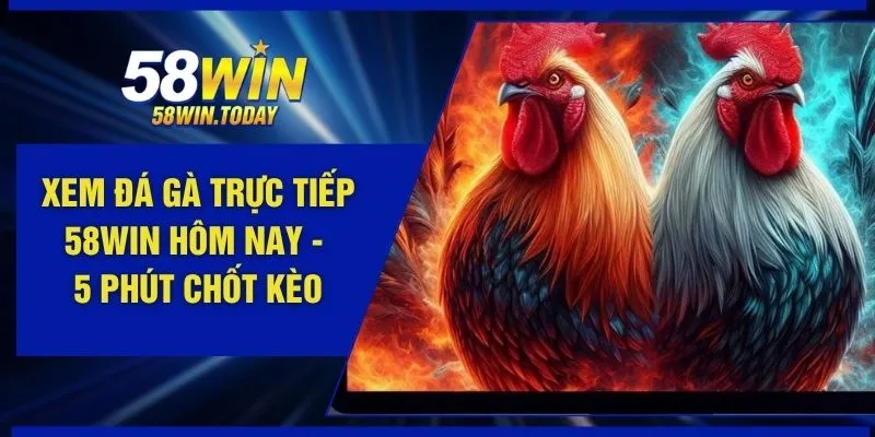 Xem Đá Gà Trực Tiếp 58WIN Hôm Nay - 5 Phút Chốt Kèo